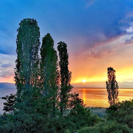 Villa Kalina Охрид Экстерьер фото