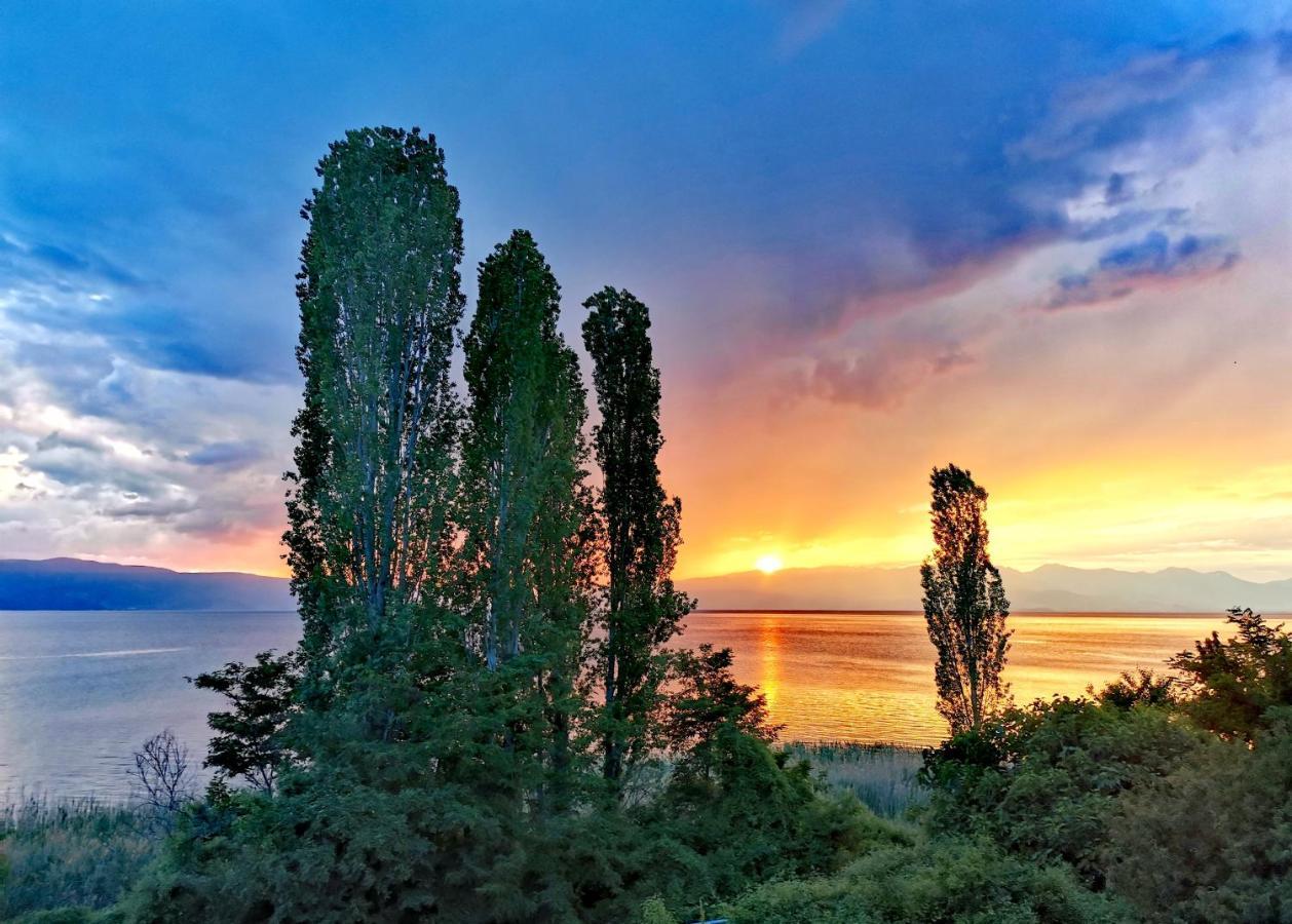 Villa Kalina Охрид Экстерьер фото